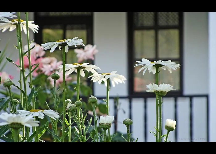 Villa Rhapsody Pension